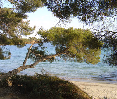 Strand Estagnol