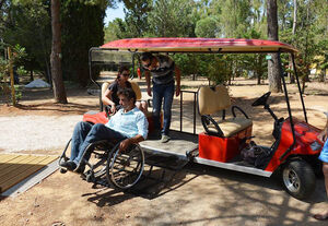 Barrierefreies Elektrofahrzeug für Menschen mit Handicap