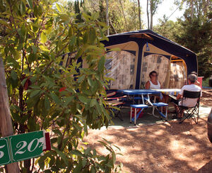 Schattige Stellplätze auf einem Campingplatz in Südfrankreich