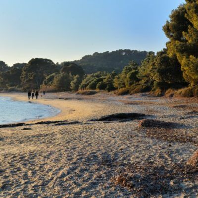 Strand Pellegrin