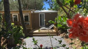 Mietobjekt: Hochwertiges Mobilhaus im Departement Var