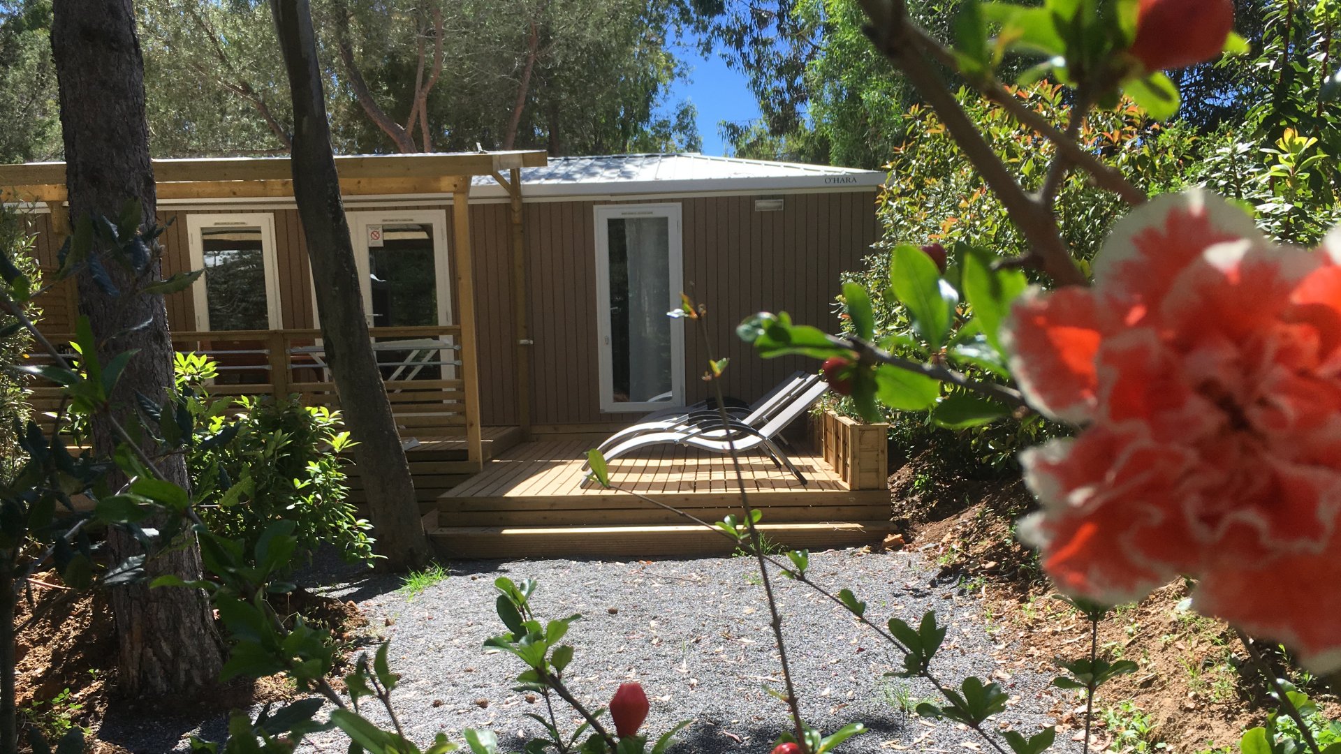 Mietobjekt: Hochwertiges Mobilhaus im Departement Var