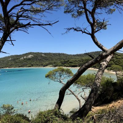 Porquerolles, eine Insel aus Gold 