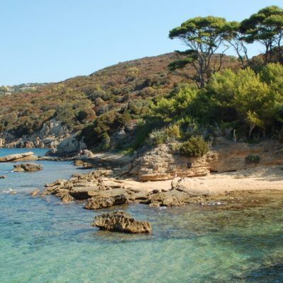 Unser Campingplatz im Departement Var und in der Nähe der Insel ‘Le Levant’ bei Hyères