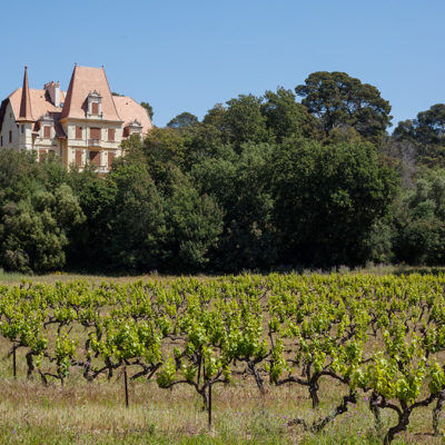 Das Weingut Château des Bormettes