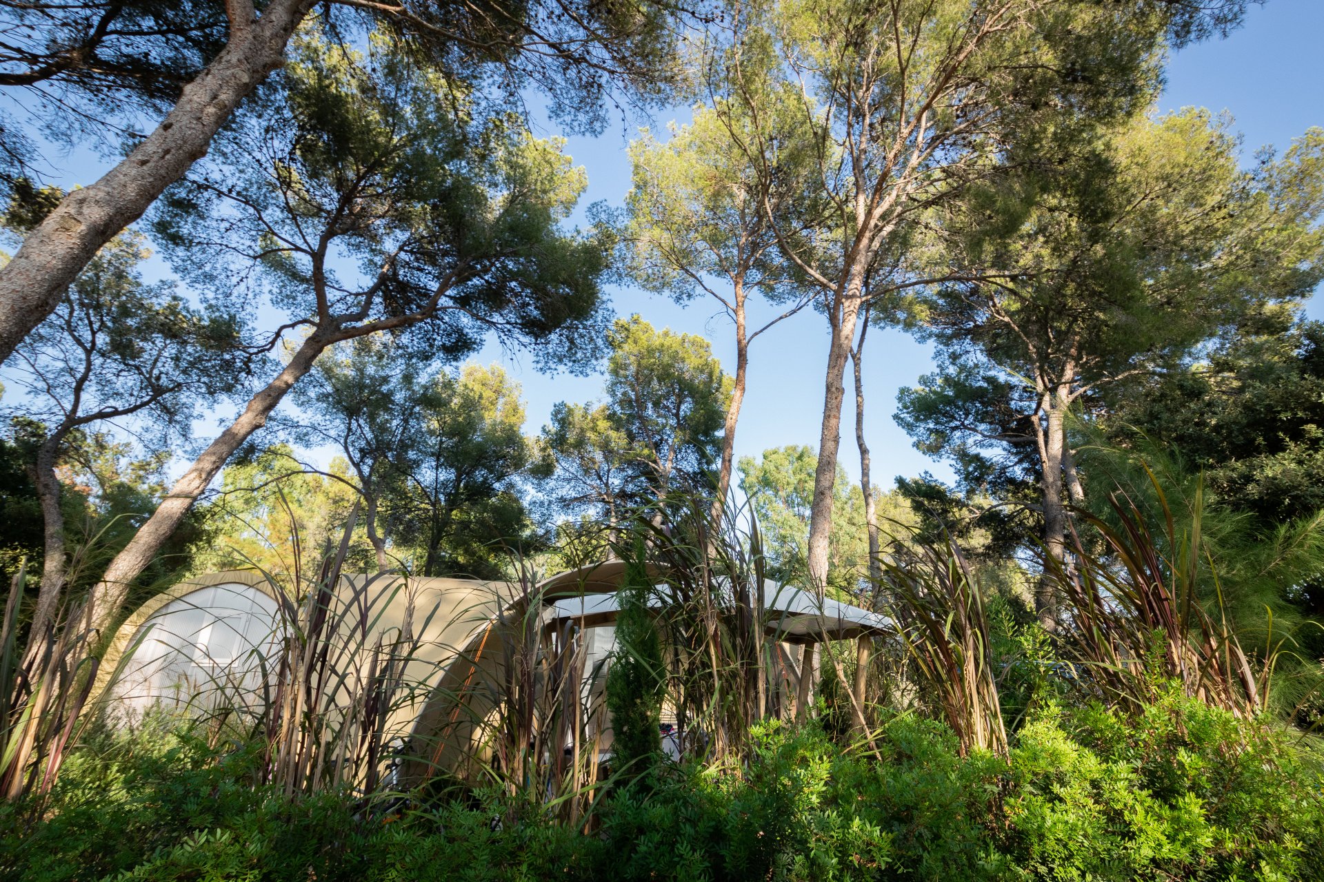 Naturnahe Ferien in einem Bungalow aus Zelttuch auf einem Campingplatz im Departement Var