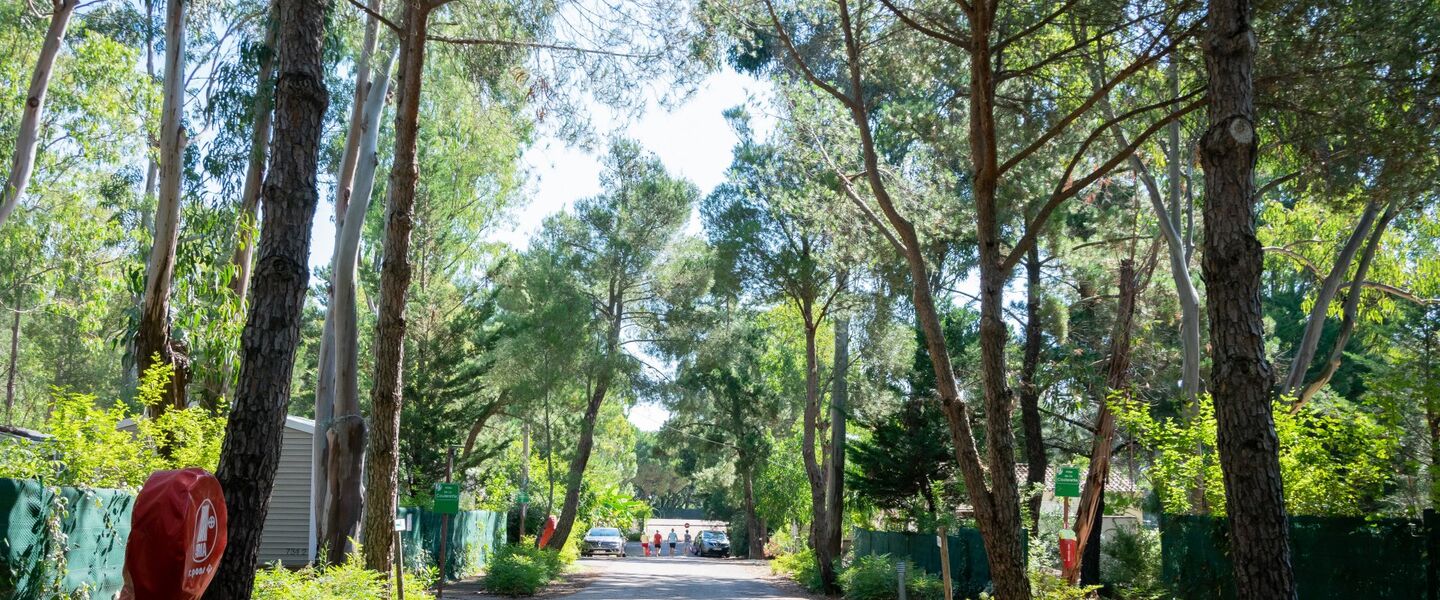 Naturnaher, umweltfreundlicher und schattiger Campingplatz mit vielen Bäumen an der Mittelmeerküste