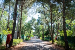 Ein naturnaher und gemütlicher Campingplatz an der Côte d’Azur