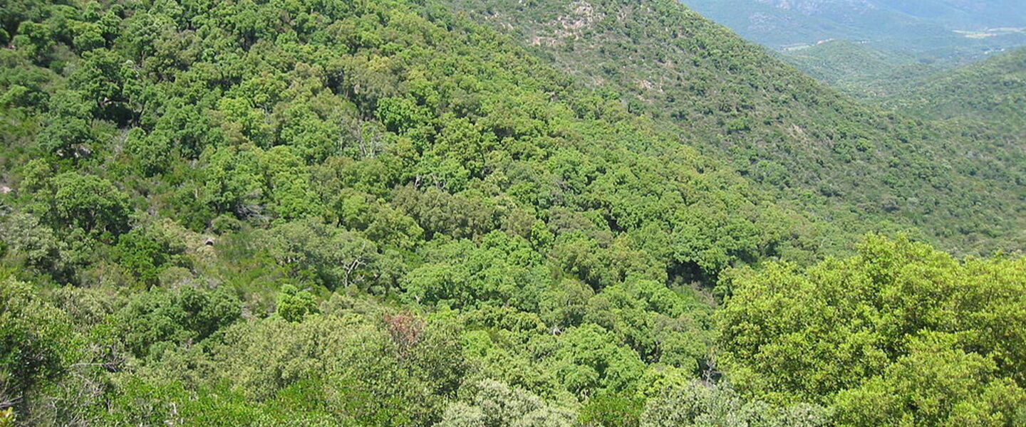 Natur und geschützte Umwelt im Maurengebirge