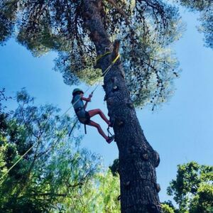 Klettern ist eine naturnahe Aktivität für Kinder in Hyères
