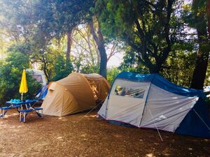 Umweltfreundlicher Campingplatz für Zeltferien an der Côte d’Azur