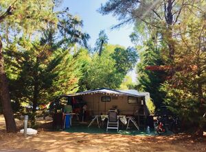 Stellplatz für Zelt oder Wohnwagen auf einem Campingplatz - Côte d’Azur