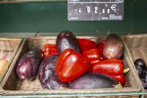 Obst- und Gemüsemarkt auf dem Campingplatz in Hyères an der Côte d’Azur