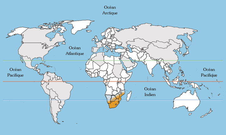 Afrikanische Sumach