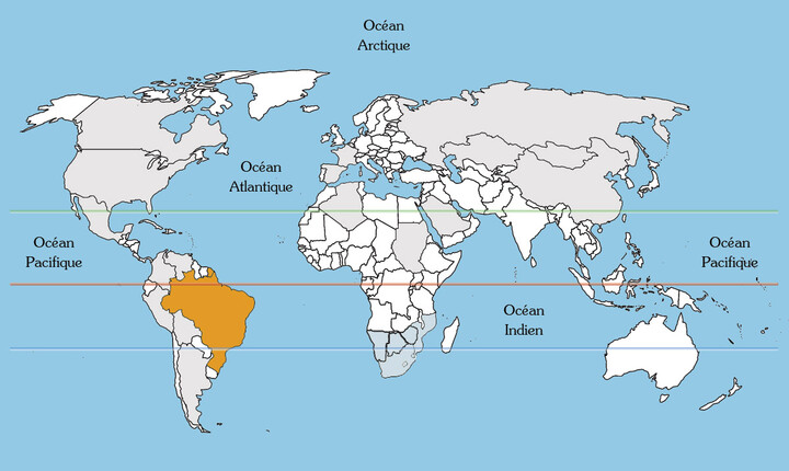 Feijoa Sellowiana oder Brasilianischer Guavenbaum