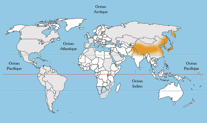 Bananenstaude aus Japan