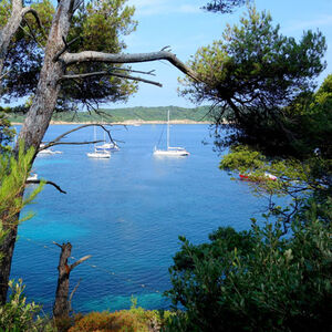 Unser Campingplatz und die Inseln Porquerolles, Le Levant und Port-Cros