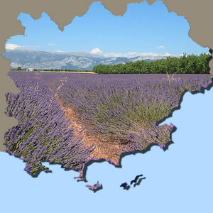 Besichtigen Sie das Departement Var und die Provence während Ihrer Ferien auf unserem Campingplatz!