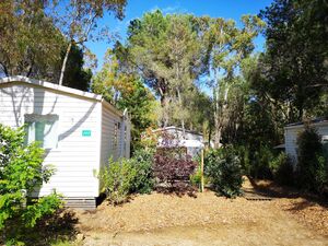 Preisgünstiges Mobilhaus für günstige Ferien auf einem Campingplatz in La-Londe-les-Maures