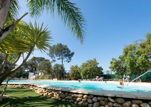 Auf dem Campingplatz wachsen Palmen im Wasserparadies, genau wie in Hyères