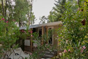 Hochwertiges Mobilhaus der Luxusklasse auf einem naturnahen Campingplatz in Hyères