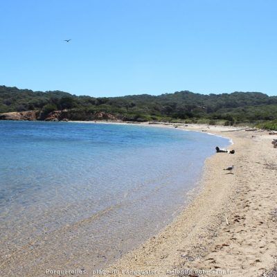 STRAND VON LANGOUSTIER AUF PORQUEROLLES