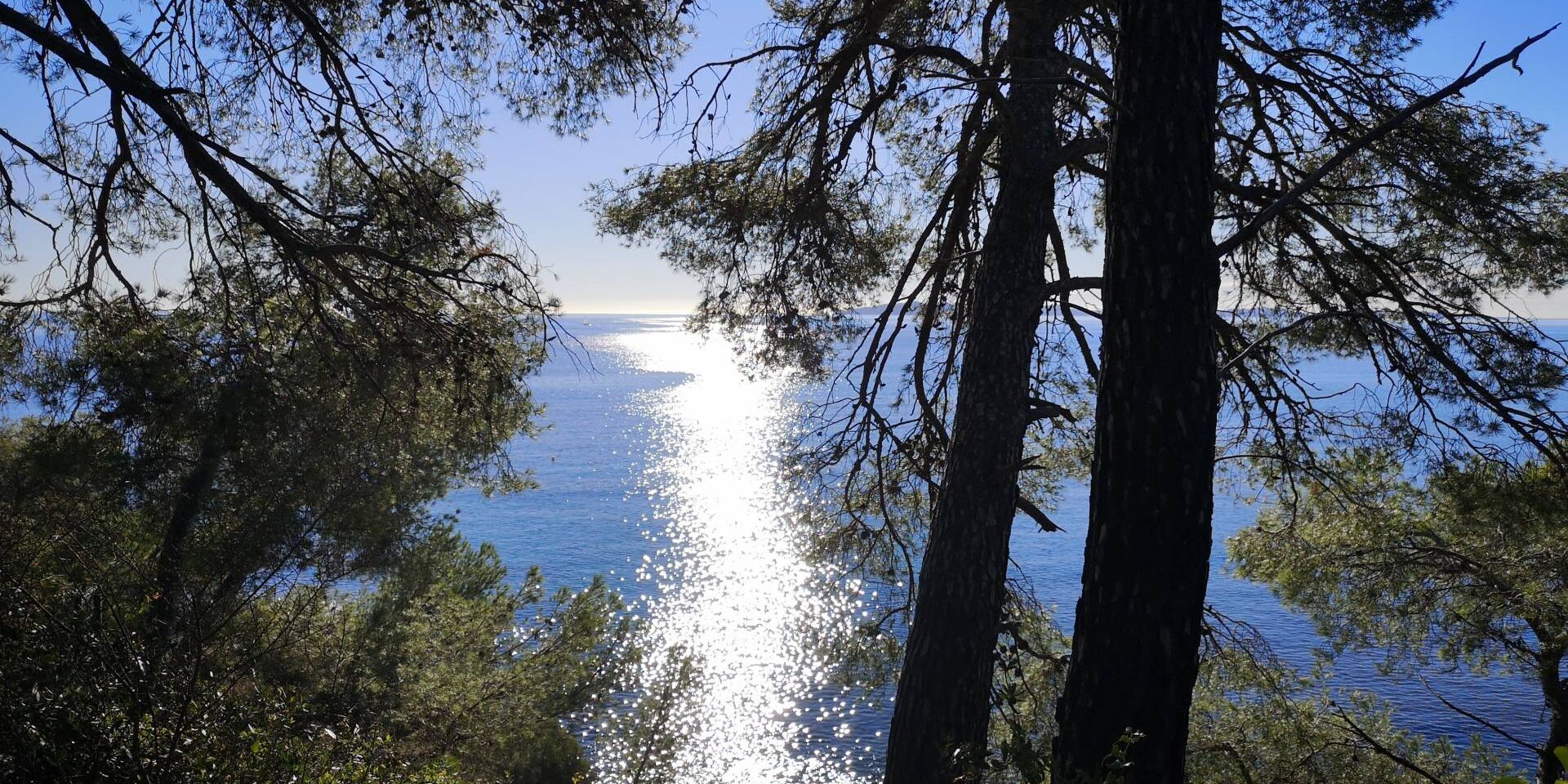 Campingplatz in der Nähe vom Strand Pellegrin in La Londe Les Maures