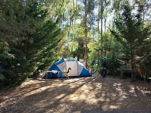 Camping Les Jardins de la Pascalinette ®