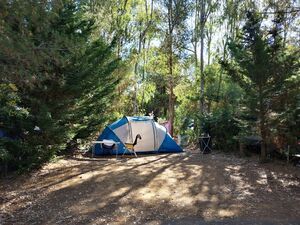 Stellplatz mit viel Komfort auf dem Camping****- Les Jardins de La Pascalinette®