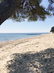 Ein schattiger Strand in La Londe