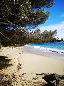 Ein schöner Strand an der Mittelmeerküste vom Departement Var