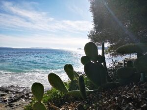 Ein Sandstrand in Le Lavandou