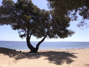 Ein Sandstrand im Departement Var