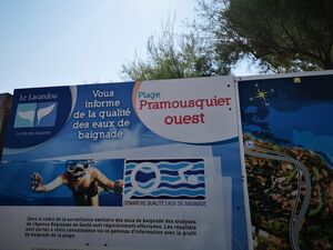 Qualité des eaux de baignade à la plage de Pramousquier