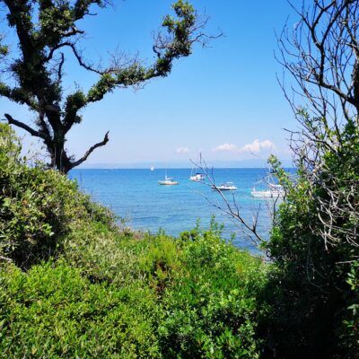 Der Strand von Aigade auf Porquerolles