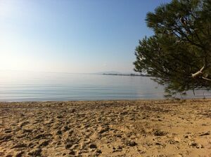 Ein Strand in der Nähe vom Camping****- Les Jardins de La Pascalinette® im Departement Var