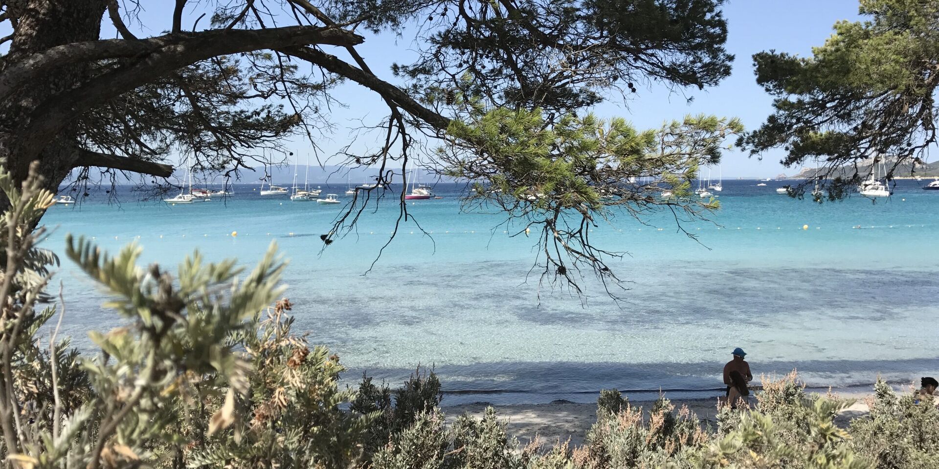 Vom Campingplatz aus kommend, beginnt Ihr Bootsausflug nach Porquerolles im Hafen von La Londe