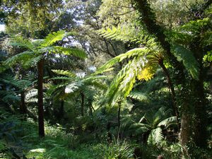 Camping Les Jardins de la Pascalinette ®