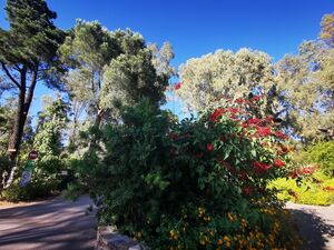 Camping Les Jardins de la Pascalinette ®