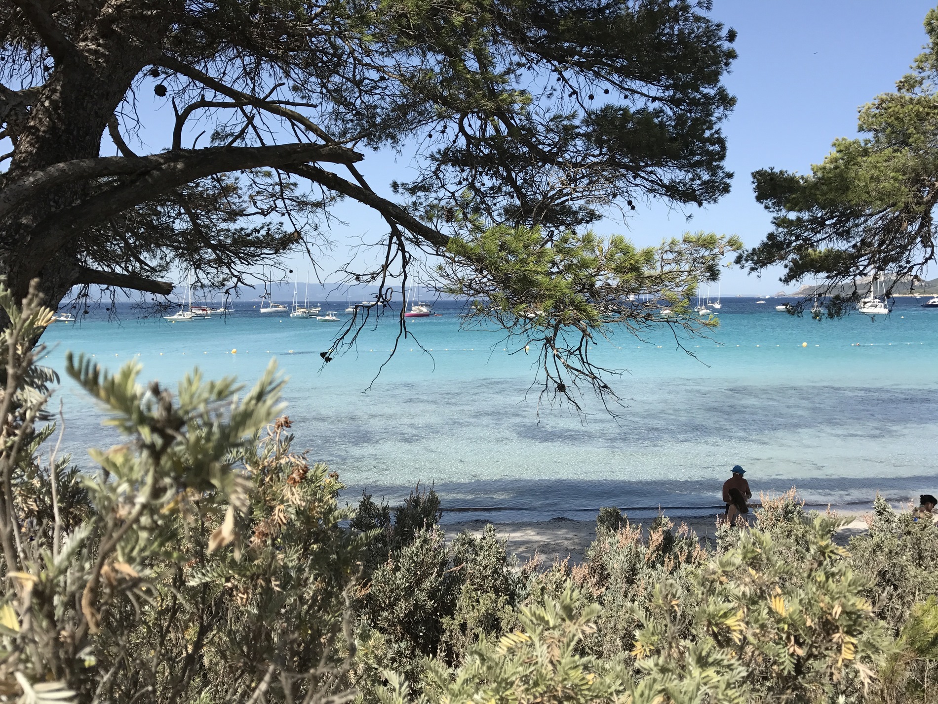 camping-au-bord-de-la-mer-var