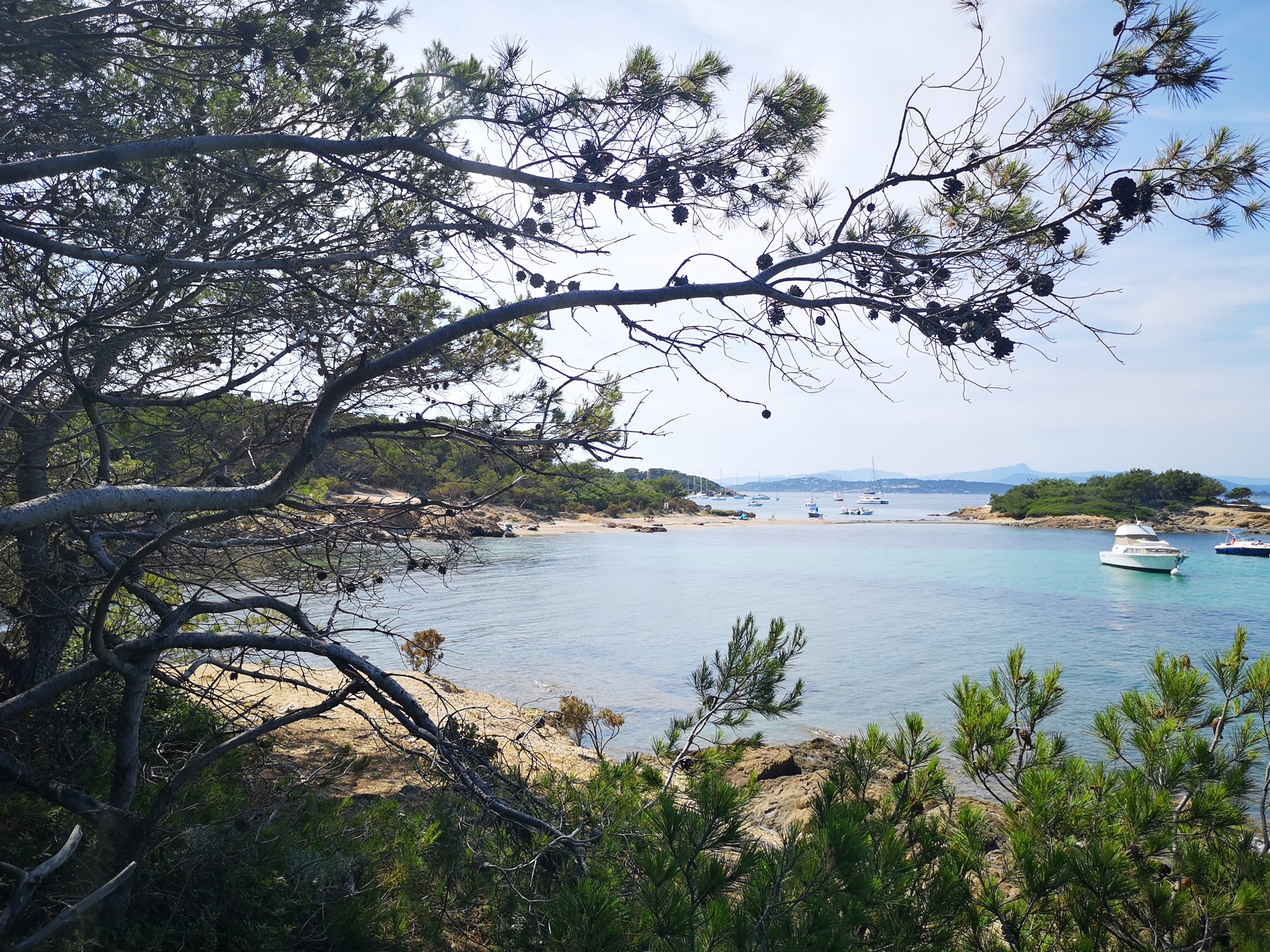 pointe-prime-porquerolles-camping-var-bord-de-mer