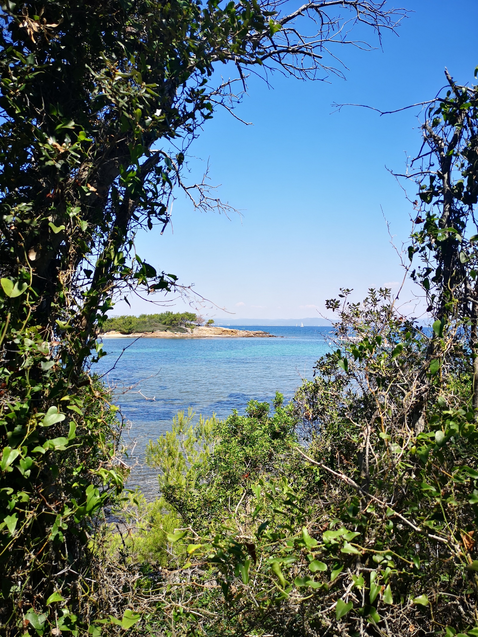 Camping-proche-porquerolles