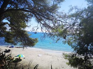 Ein Strand in der Nähe vom Campingplatz