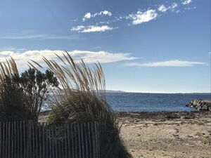 Ein Sandstrand in der Nähe vom Camping****- Les Jardins de La Pascalinette®