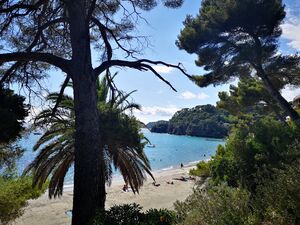 Der Strand ‘Miramar’ ist ein Sandstrand im Departement Var.