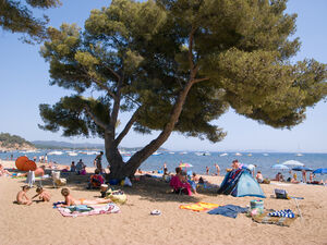 Ein Strand in der Nähe zum Campingplatz