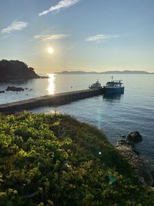 Die Halbinsel Giens, Porquerolles und die Inseln von Hyères