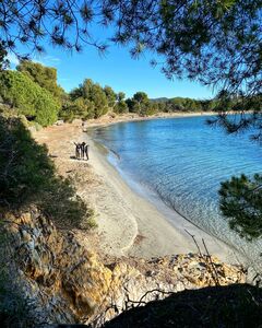 Ein ruhiger Strand im Departement Var