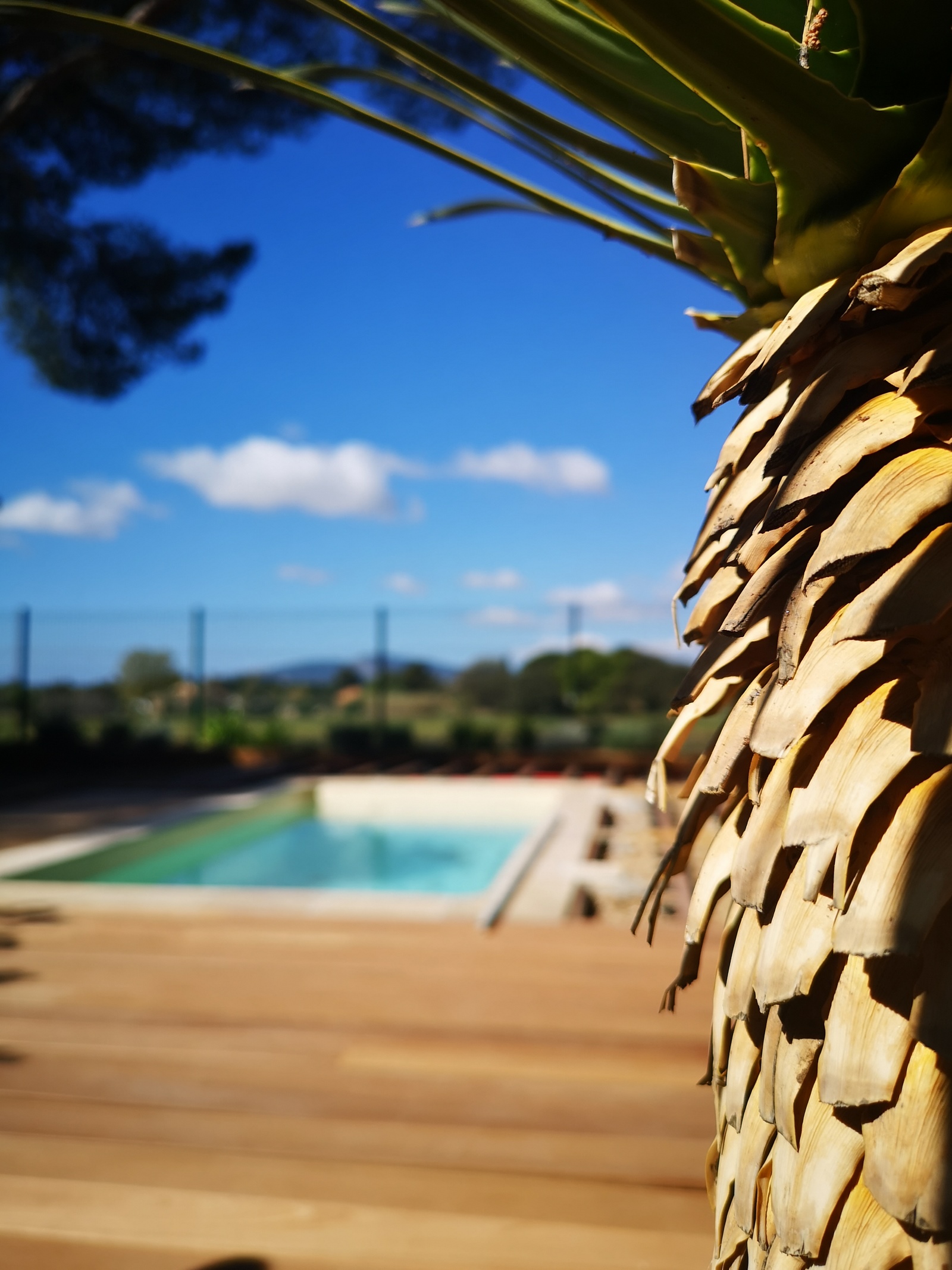 Ferien für 4 Personen mit eigenem Pool auf einem Campingplatz**** im Departement Var