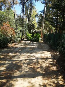 Schattiger Stellplatz auf dem Campingplatz Var